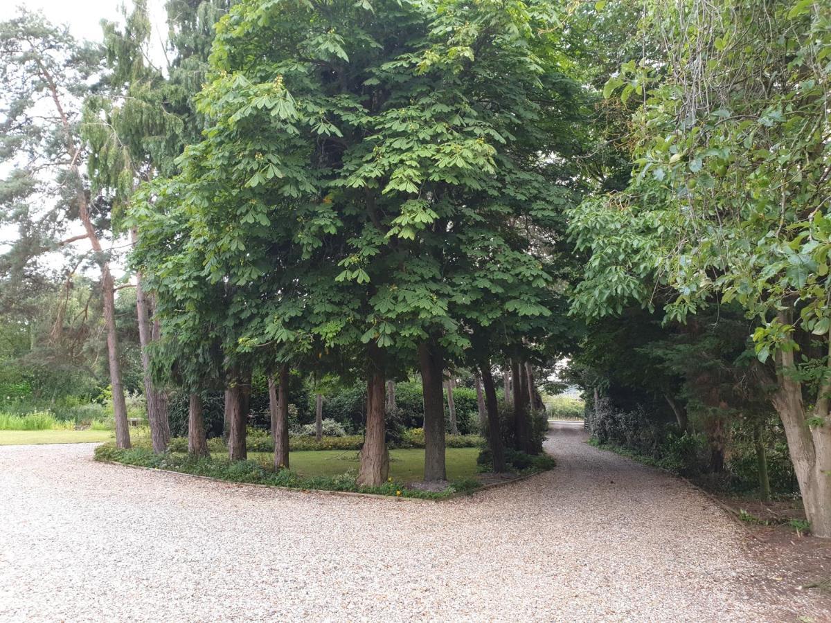 The Reading Whole Chalet With Lake And Two Acre Gardens Esterno foto