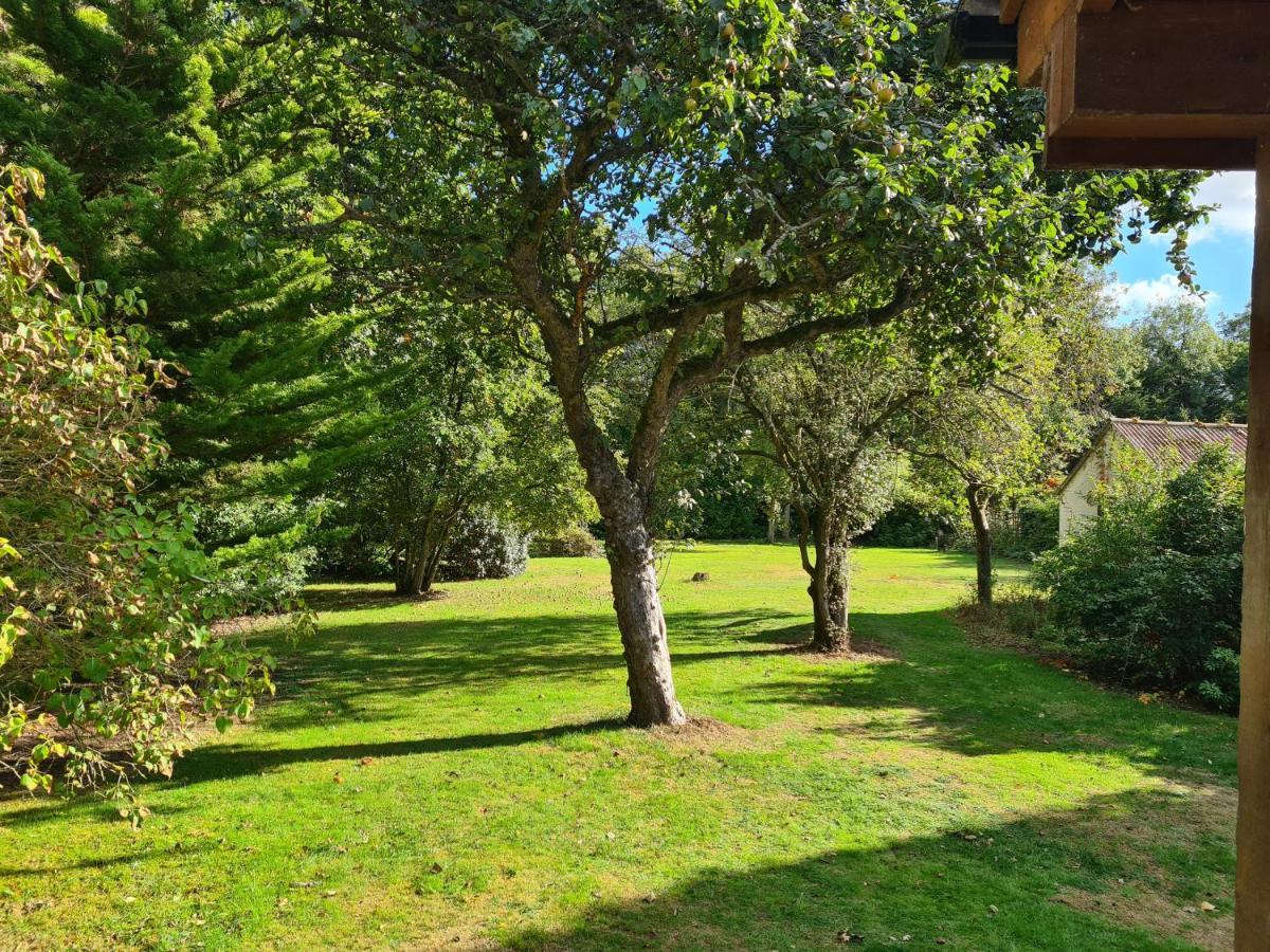 The Reading Whole Chalet With Lake And Two Acre Gardens Esterno foto